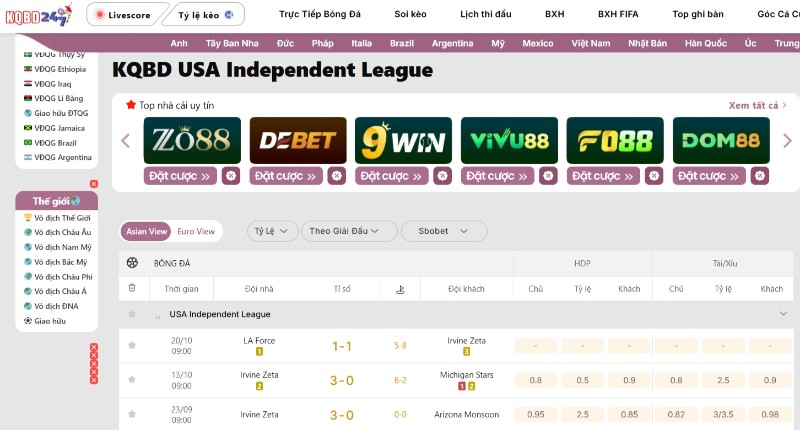 USA Independent League